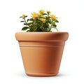 Flowerpot with yellow roses isolated on white background, Royalty Free Stock Photo