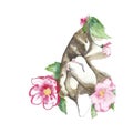 Illustration Fluffy kitten lies with flowers. The muzzle and paw are visible. Watercolor and liner