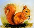 Illustration of a fluffy squirrel.