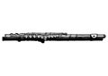 Illustration of flute