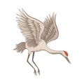 Flying red-crowned crane. Beautiful bird with large wings, long thin beak, legs and neck. Flat vector icon Royalty Free Stock Photo