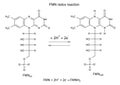 Illustration of FMN redox reaction Royalty Free Stock Photo