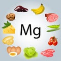 foods rich in magnesium