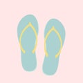 Illustration of footwear slippers isolated