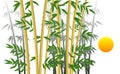 Sun and bamboo thickets on a white background