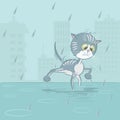 Illustration in the form of a wet cat Royalty Free Stock Photo