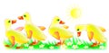 Illustration of four little ducklings. Royalty Free Stock Photo