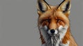 Illustration of a fox head blending realistic and geometric styles. Royalty Free Stock Photo