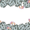 Frame illustration of home flowering cacti, on a sandy, white background for printing on packaging