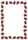 Ladybirds Frame Royalty Free Stock Photo