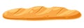 Illustration of fresh baguette. Image for bakeries and groceries.