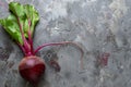 Fresh beetroot on grey textured background,  Top view with copy space Royalty Free Stock Photo