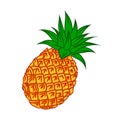 Illustration of fresh fruit pineapple, Vector Illustration Royalty Free Stock Photo