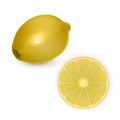 Illustration of fresh lemon. Slice citrus isolated on white background. Tropical fruits. Raw and vegetarian food Royalty Free Stock Photo