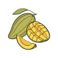 Ripe mango fruit vector illustration on a white backdrop Royalty Free Stock Photo