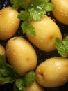 Fresh potatoes ready to eat or mix in a salad