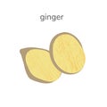 Illustration of fresh slice of ginger spice isotated on white background. Hand drawn illustration Royalty Free Stock Photo