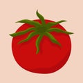 Close up illustration of fresh tomatoes