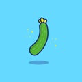 Illustration fruit cucumber, the cute illustration used for web, for infographic, icon web or mobile app, presentation icon, etc,