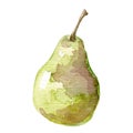 Illustration of fruit pear Hand drawn watercolor painting Royalty Free Stock Photo