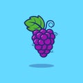 Illustration fruit purple grapes, the cute illustration used for web, for infographic, icon web or mobile app, presentation icon,