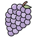 Illustration of fruits: Purple grapes with a leave with a black outline