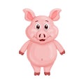 Illustration of a funny cartoon pig