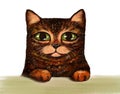 Illustration of a funny cartoon tabby cat, ginger brown, sitting with its paws out and looking at the camera. Crayon-drawn funny Royalty Free Stock Photo