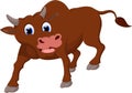 Funny Cow Smile cartoon white background for you design Royalty Free Stock Photo