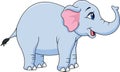 Funny elephant