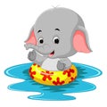 Funny elephant swimming using ringball Royalty Free Stock Photo