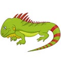 Cartoon Vector Illustration of Funny Iguana Lizard Reptile Animal Character Royalty Free Stock Photo