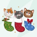 illustration of funny kittens in Christmas stockings Royalty Free Stock Photo