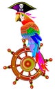 Illustration of funny parrot siting on the steering wheel in a pirate hat, vector cartoon image.