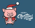 Illustration of funny pig character in Santas clothes. Vector set hand drawn illustration. Christmas card, poster, t Royalty Free Stock Photo