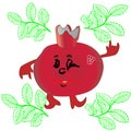 Illustration of a funny pomegranate fruit food comic character