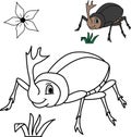 Illustration of a cute rhinoceros beetle for a children\'s coloring book. Rhinoceros beetle cartoon vector