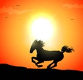 Illustration of galloping horse in the sunset