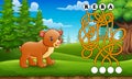 Game bears maze find way to the word