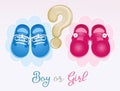 Illustration of gender party babies