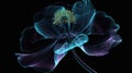 Hellebore Flower Creative Floristic Artwork Royalty Free Stock Photo