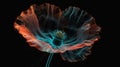 Poppy Flower Creative Floristic Artwork