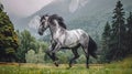 Powerful Majestic Stallion