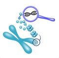 Illustration of a genetic material unwrapping from a chromosome to histones to DNA Royalty Free Stock Photo