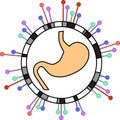 Genome-wide association study of conditions of digestive system