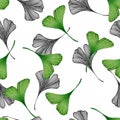 Ginkgo seamless design, hand drawn line art and watercolor illustration with ginkgo leaves for wrapping, wallpaper or fabric