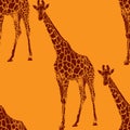 Illustration of a giraffe. seamless animal pattern