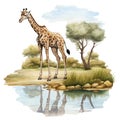 An illustration of a giraffe walking by a river