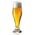 Glass of beer isolated on white background,  Clipping path included Royalty Free Stock Photo