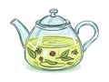 Illustration of a glass teapot with herbal tea. Color picture on a white background. Black outline.